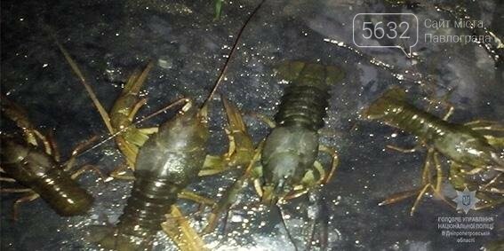 На реке Самара полицейские вместе с егерями задержали брако..., фото-2 На реке Самара полицейские вместе с егерями задержали браконьера (Фото) , фото-2