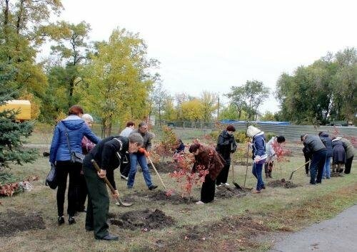 Павлоградцы высадили на Аллее героев рябины и калины, фото-2 Павлоградцы высадили на Аллее героев рябины и калины, фото-2
