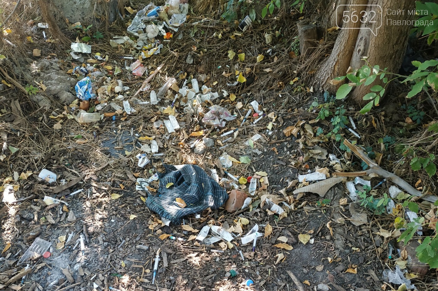 Свалка для мусора и «рассадник» наркомании: всё это в центр..., фото-3 Свалка для мусора и «рассадник» наркомании: всё это в центре Павлограда, фото-3
