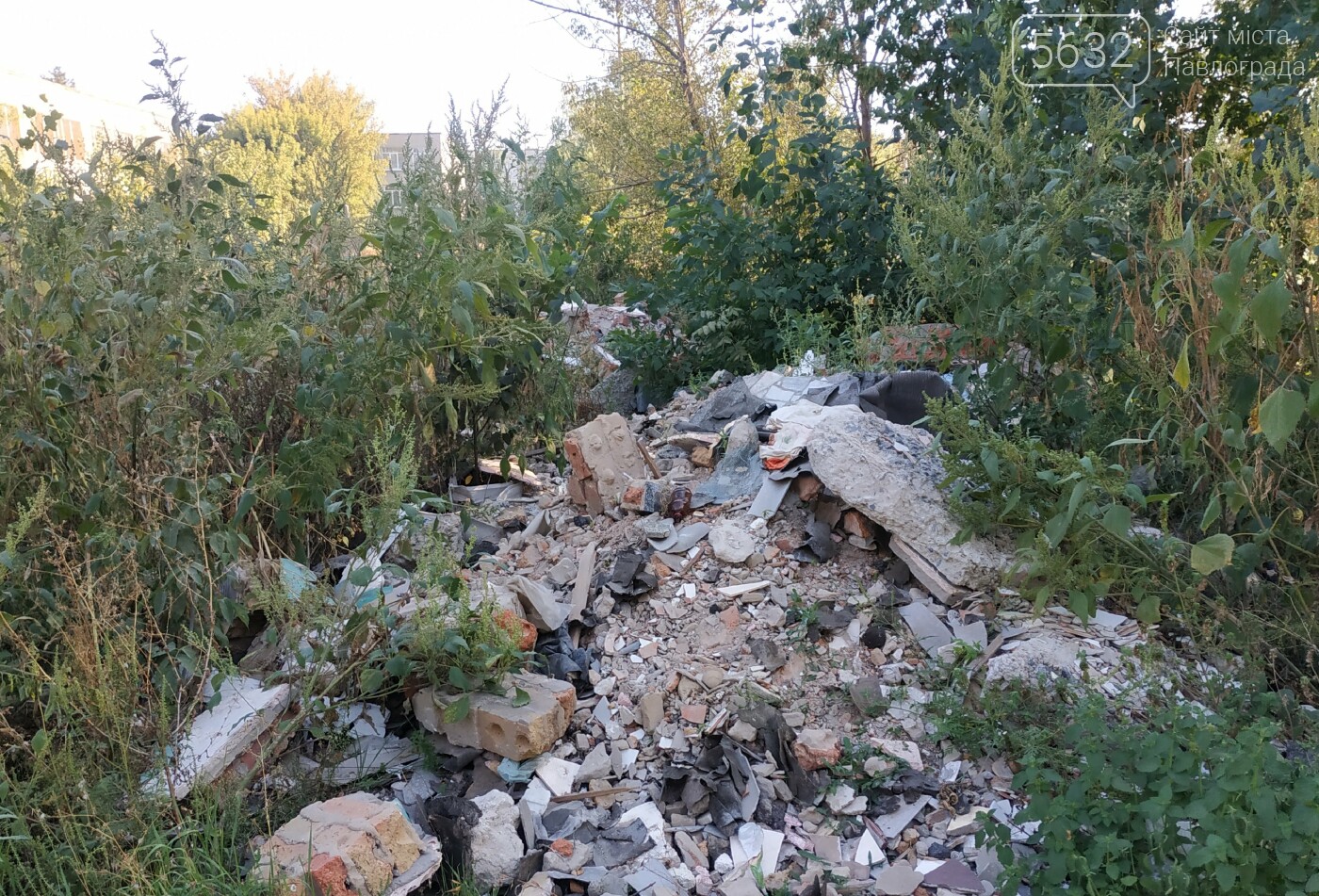 Свалка для мусора и «рассадник» наркомании: всё это в центр..., фото-6 Свалка для мусора и «рассадник» наркомании: всё это в центре Павлограда, фото-6