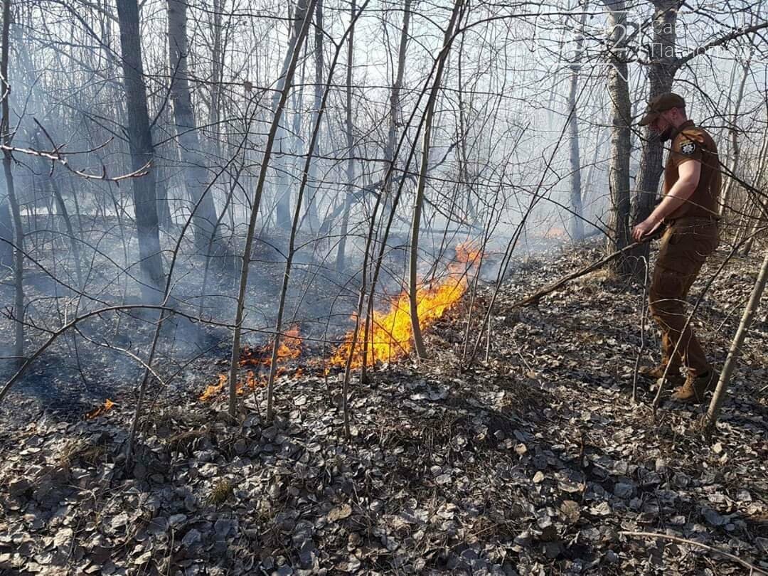 В Павлограде горела посадка, фото-1 В Павлограде горела посадка, фото-1