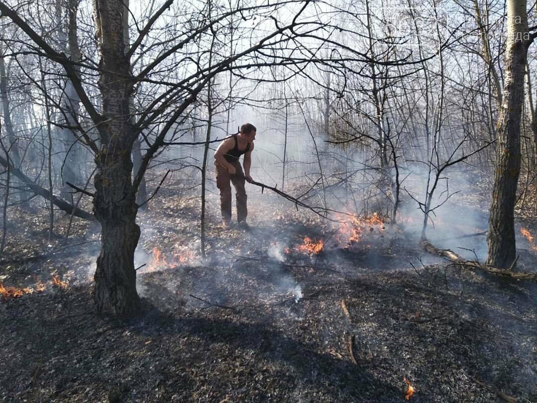 В Павлограде горела посадка, фото-2 В Павлограде горела посадка, фото-2