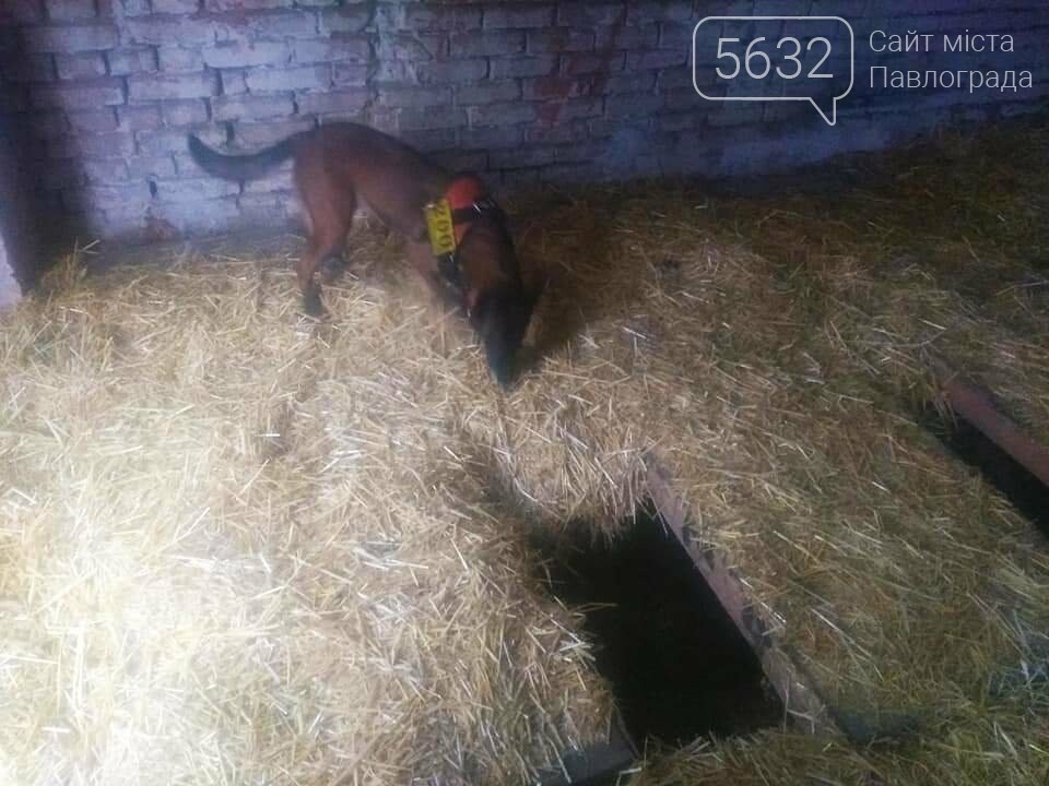 Несколько поисковых групп продолжают искать пропавших павло..., фото-6 Несколько поисковых групп продолжают искать пропавших павлоградцев Ольгу Синеоокую-Осауленко и Николая Бабурнича, фото-6