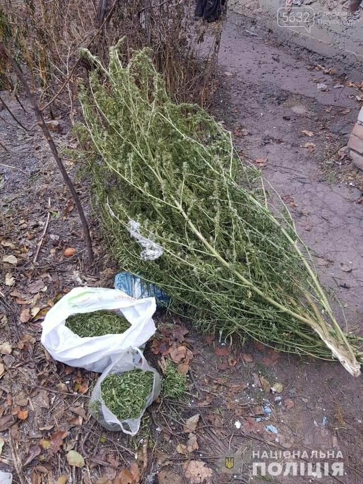 Житель Павлограда хранил у себя дома марихуану, фото-3 Житель Павлограда хранил у себя дома марихуану, фото-3