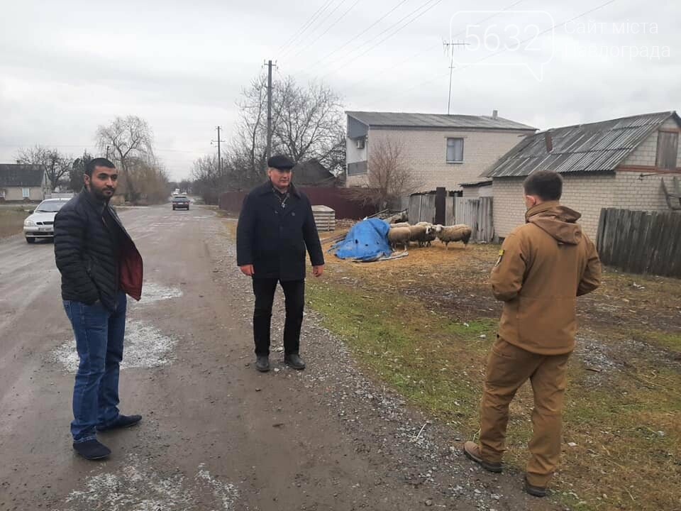 Павлоградец выпасал овец прямо на кладбище (ФОТО), фото-4 Павлоградец выпасал овец прямо на кладбище (ФОТО), фото-4