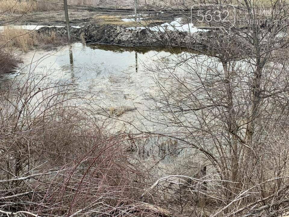 В Павлоградском районе обнаружили незаконно установленный т..., фото-3 В Павлоградском районе обнаружили незаконно установленный трубопровод протяжённостью 75 метров, фото-3