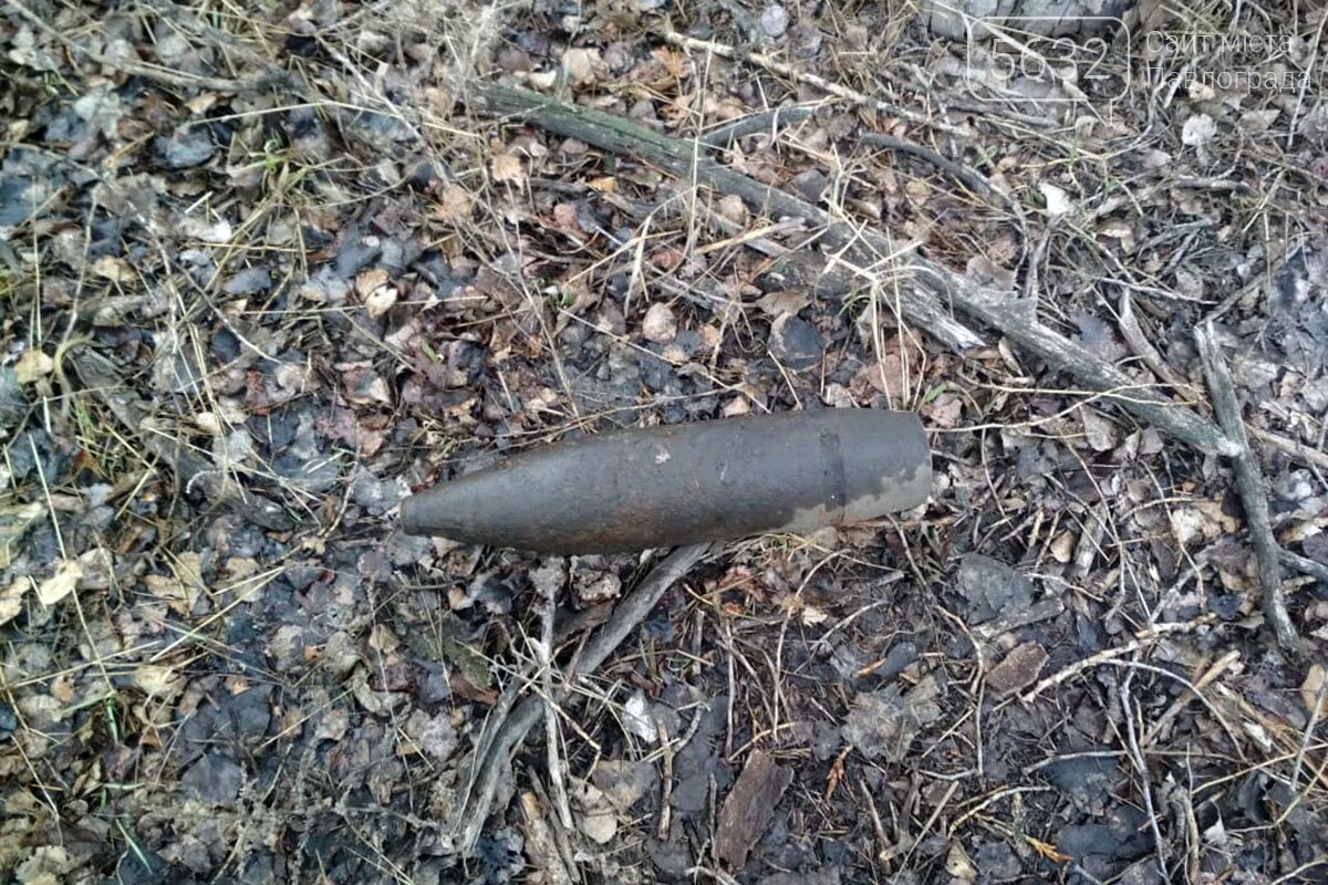 Во время прогулки павлоградец обнаружил устаревший артиллер..., фото-1 Во время прогулки павлоградец обнаружил устаревший артиллерийский снаряд, фото-1