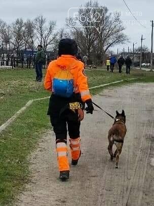 118 дней со дня исчезновения: что известно о поисках без в..., фото-12 118 дней со дня исчезновения: что известно о поисках без вести пропавшей Ольги Синеокой-Осауленко?, фото-12