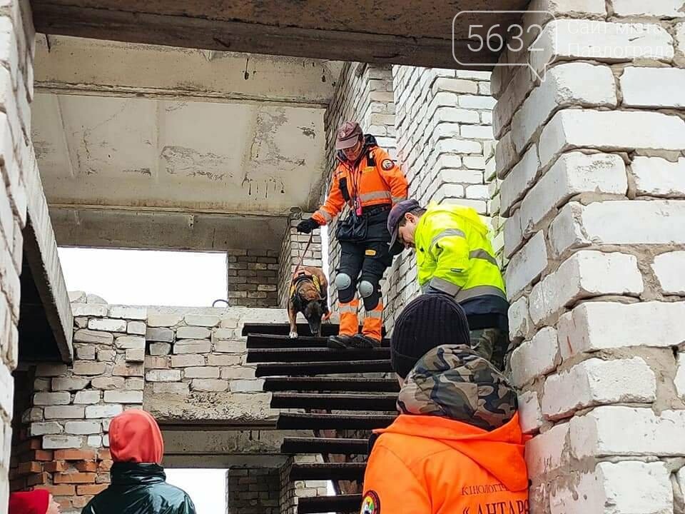 118 дней со дня исчезновения: что известно о поисках без ве..., фото-8 118 дней со дня исчезновения: что известно о поисках без вести пропавшей Ольги Синеокой-Осауленко?, фото-8