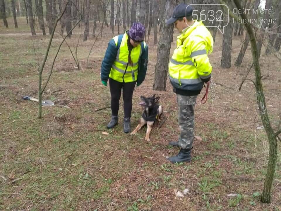 118 дней со дня исчезновения: что известно о поисках без в..., фото-10 118 дней со дня исчезновения: что известно о поисках без вести пропавшей Ольги Синеокой-Осауленко?, фото-10