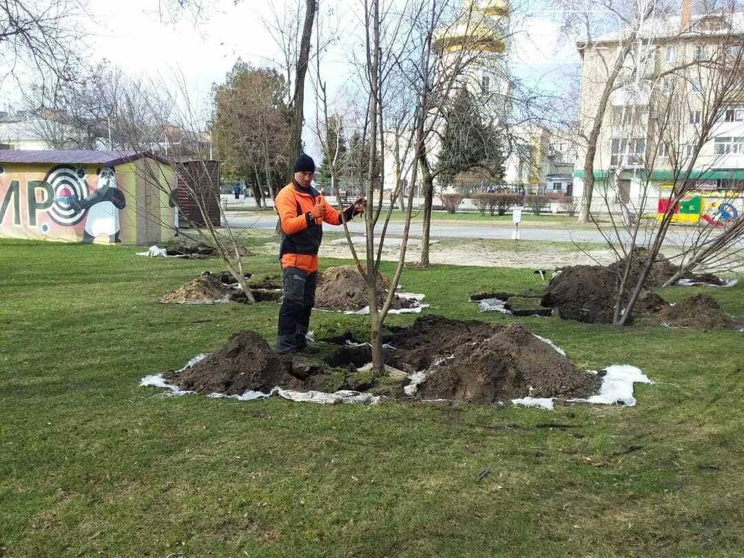 Высаживание деревьев фото