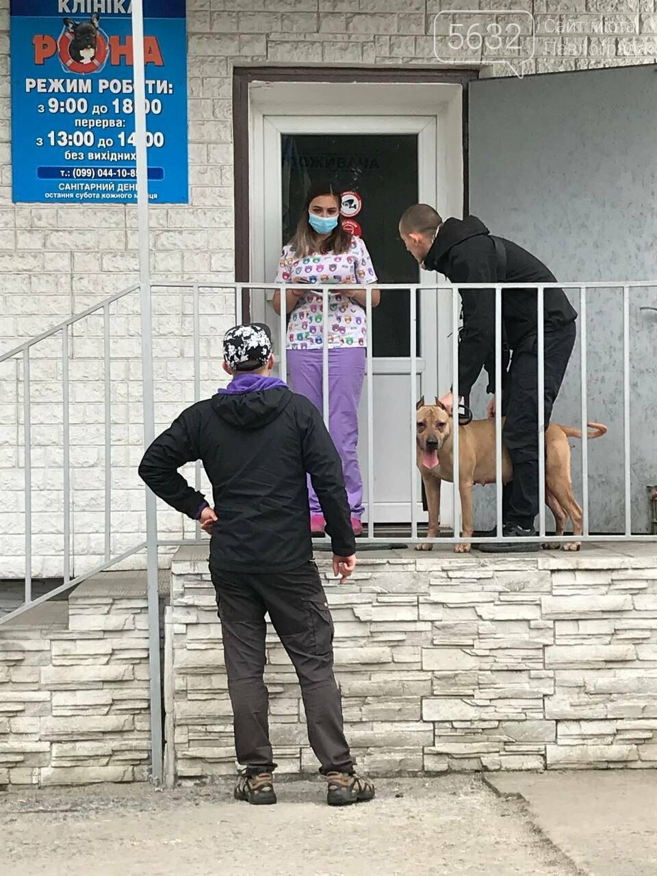 В Павлограде спасли собаку, которую держал в подвальном пом..., фото-5 В Павлограде спасли собаку, которую держал в подвальном помещении нерадивый хозяин, фото-5