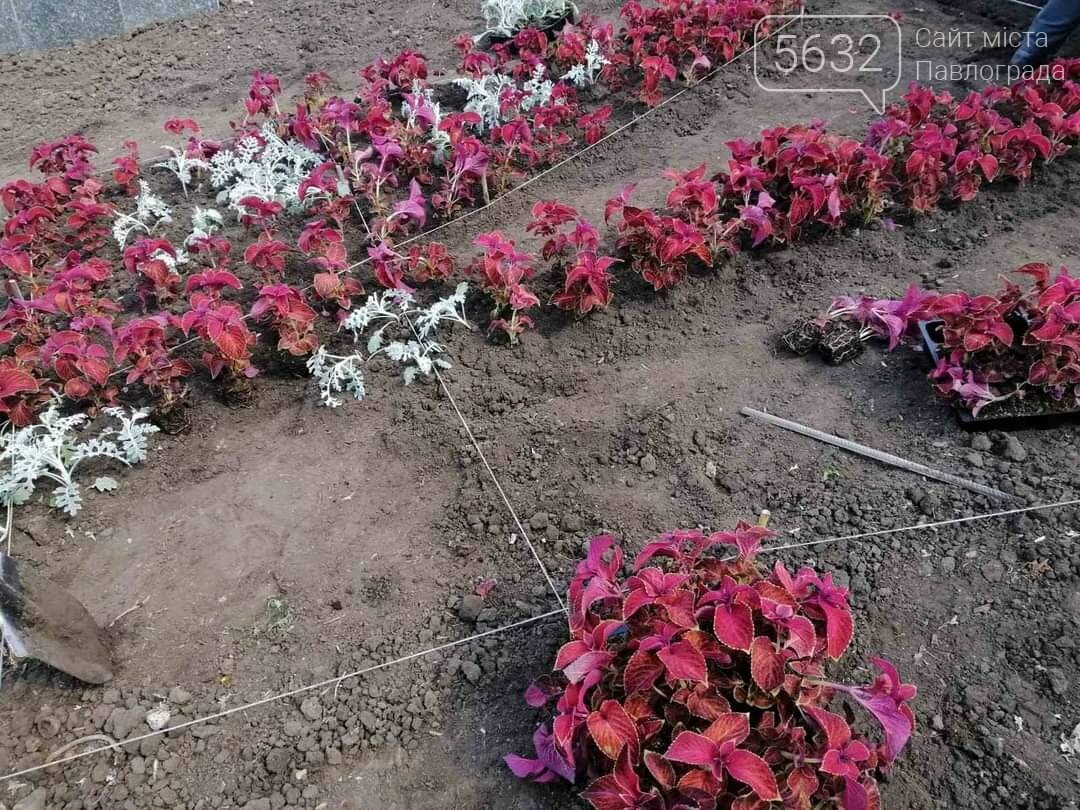 В центре Павлограда снова расцвёл трезубец (ФОТОФАКТ), фото-2 В центре Павлограда снова расцвёл трезубец (ФОТОФАКТ), фото-2