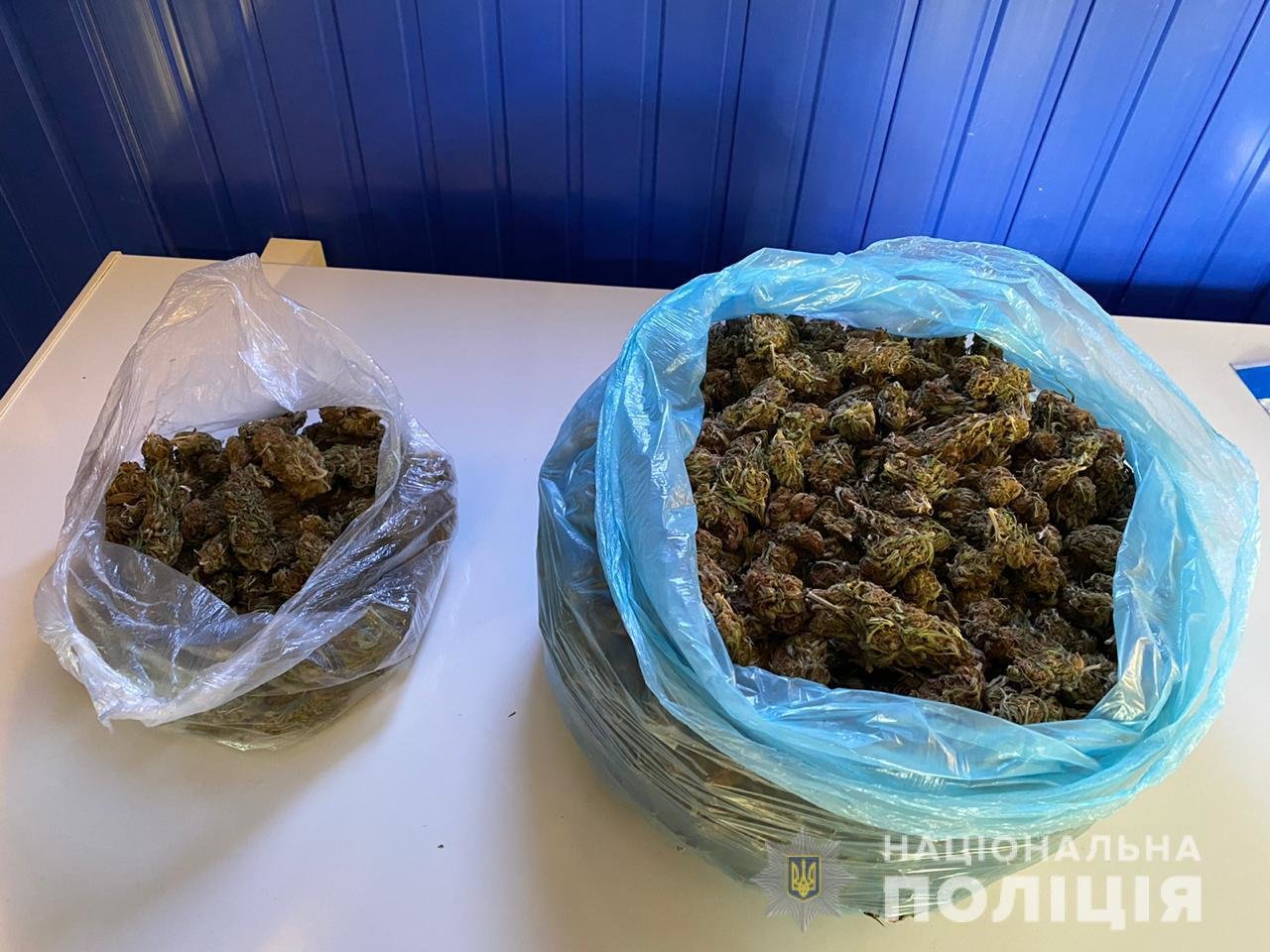 На Днепропетровщине полицейские изъяли наркотики на сумму о..., фото-1 На Днепропетровщине полицейские изъяли наркотики на сумму около 180 тыс. гривен, фото-1
