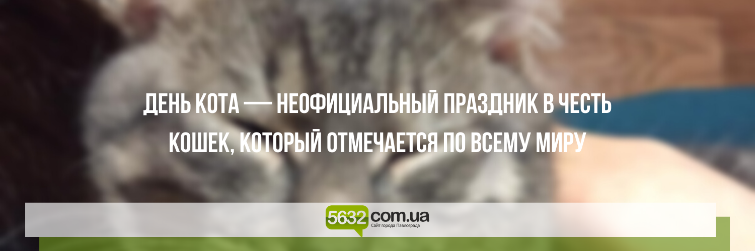 Завтра Всемирный день кошек! А ты празднуешь? Завтра Всемирный день кошек! А ты празднуешь? , Ольга Михайлова