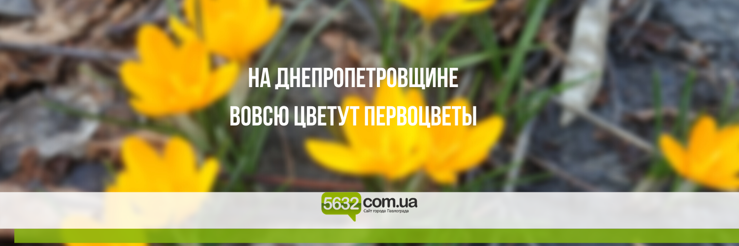 Рекорд: в области первоцветы расцвели почти на месяц раньше Рекорд: в области первоцветы расцвели почти на месяц раньше