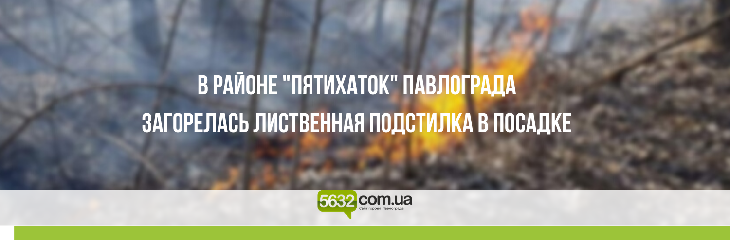В Павлограде горела посадка В Павлограде горела посадка