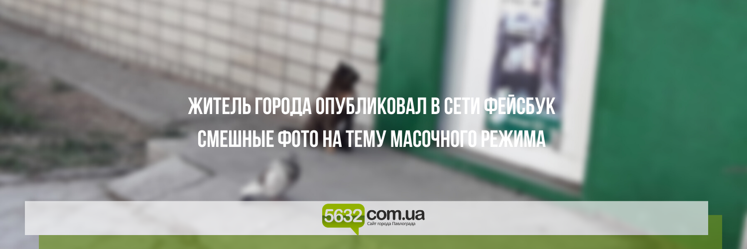 Павлоградцы делятся забавными фото в Сети на тему карантина Павлоградцы делятся забавными фото в Сети на тему карантина , Ольга Михайлова