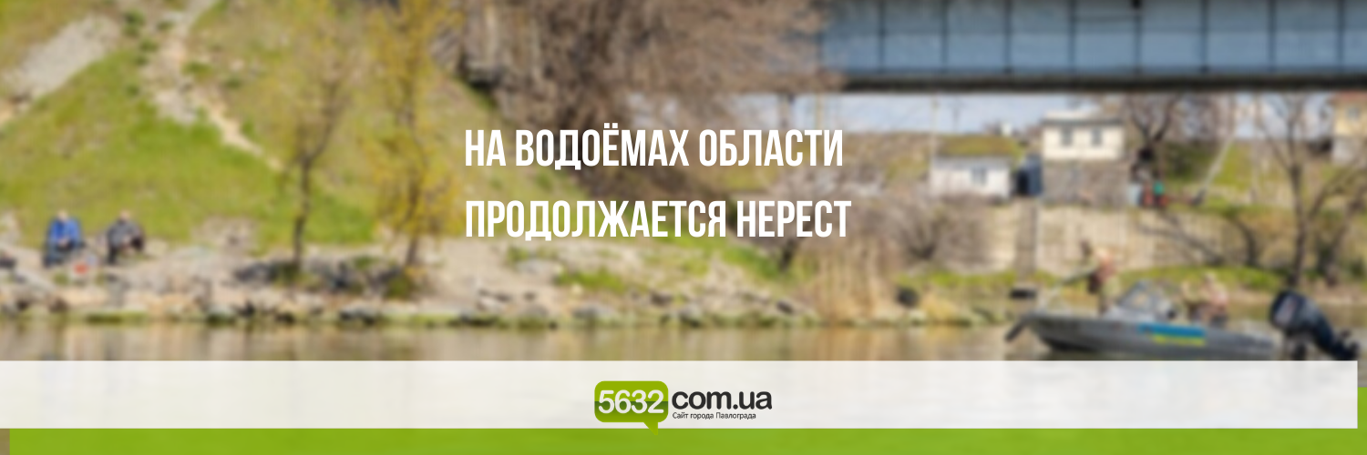 С начала нереста на Днепропетровщине задержали более 220 браконьеро... С начала нереста на Днепропетровщине задержали более 220 браконьеров