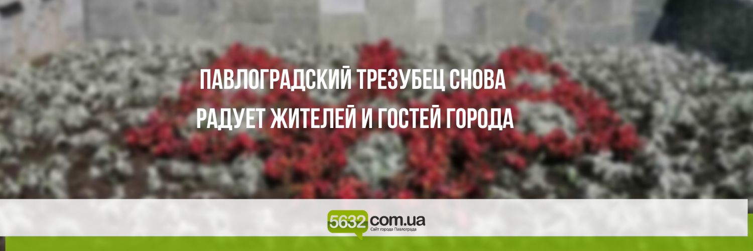 В центре Павлограда снова расцвёл трезубец (ФОТОФАКТ) В центре Павлограда снова расцвёл трезубец (ФОТОФАКТ)