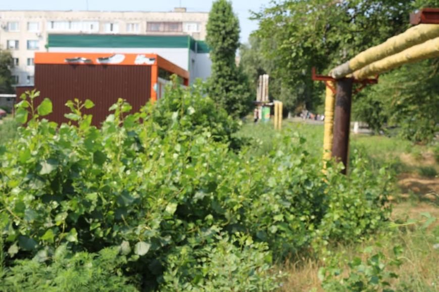 pustyr