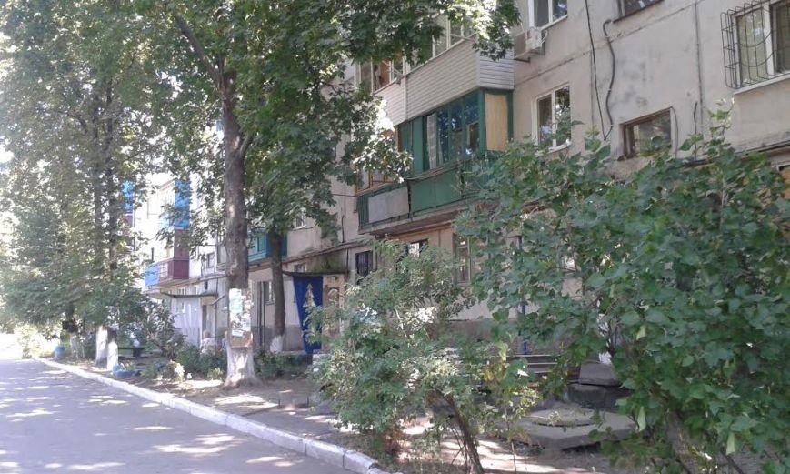 komarova4